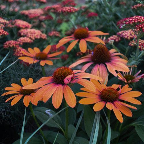 Creating a Garden That Looks Good All Season